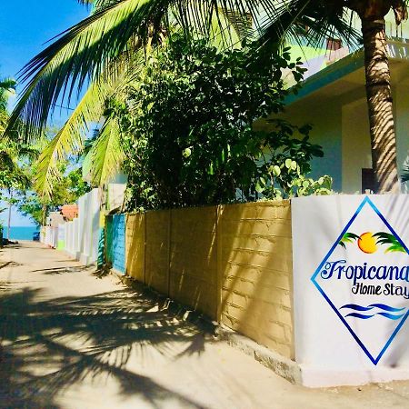 Tropicana Home Stay Baie d'Arugam Extérieur photo