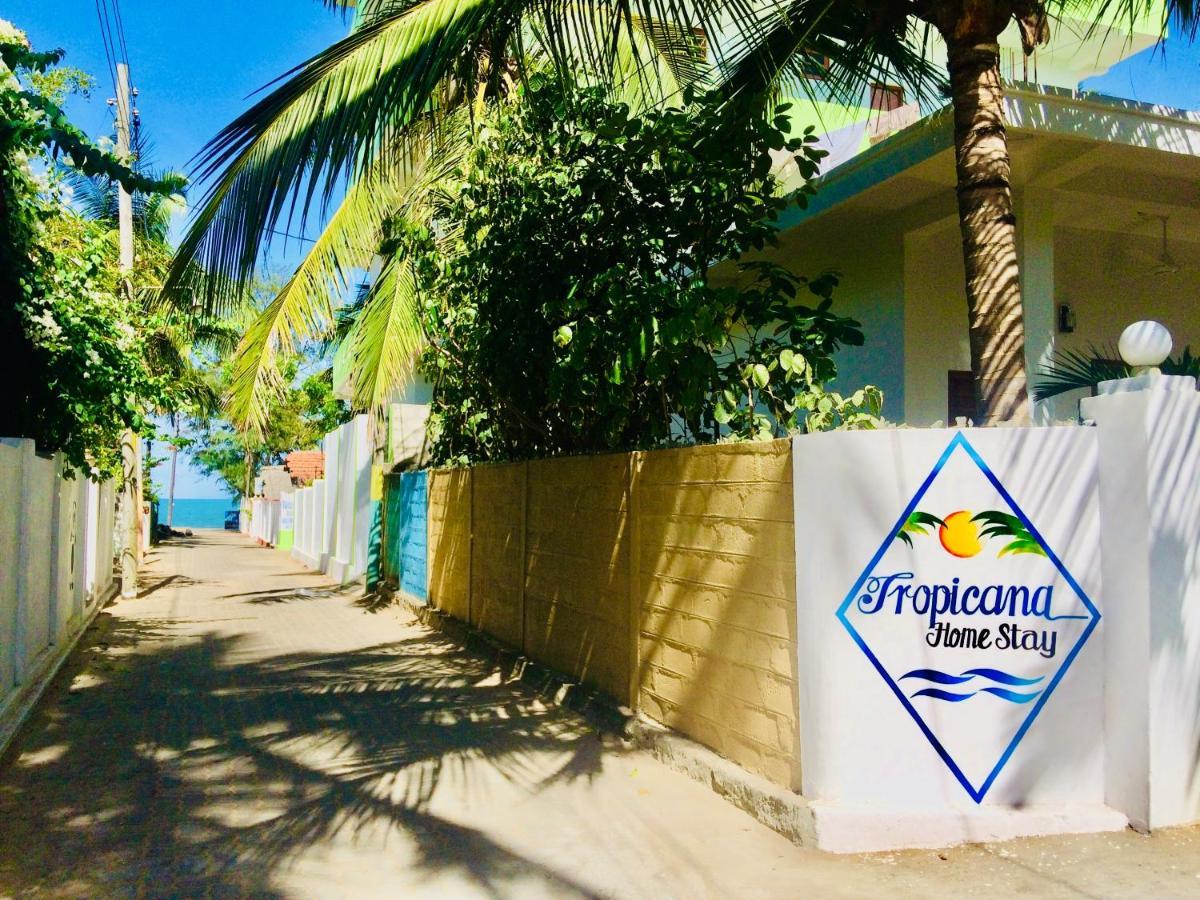 Tropicana Home Stay Baie d'Arugam Extérieur photo