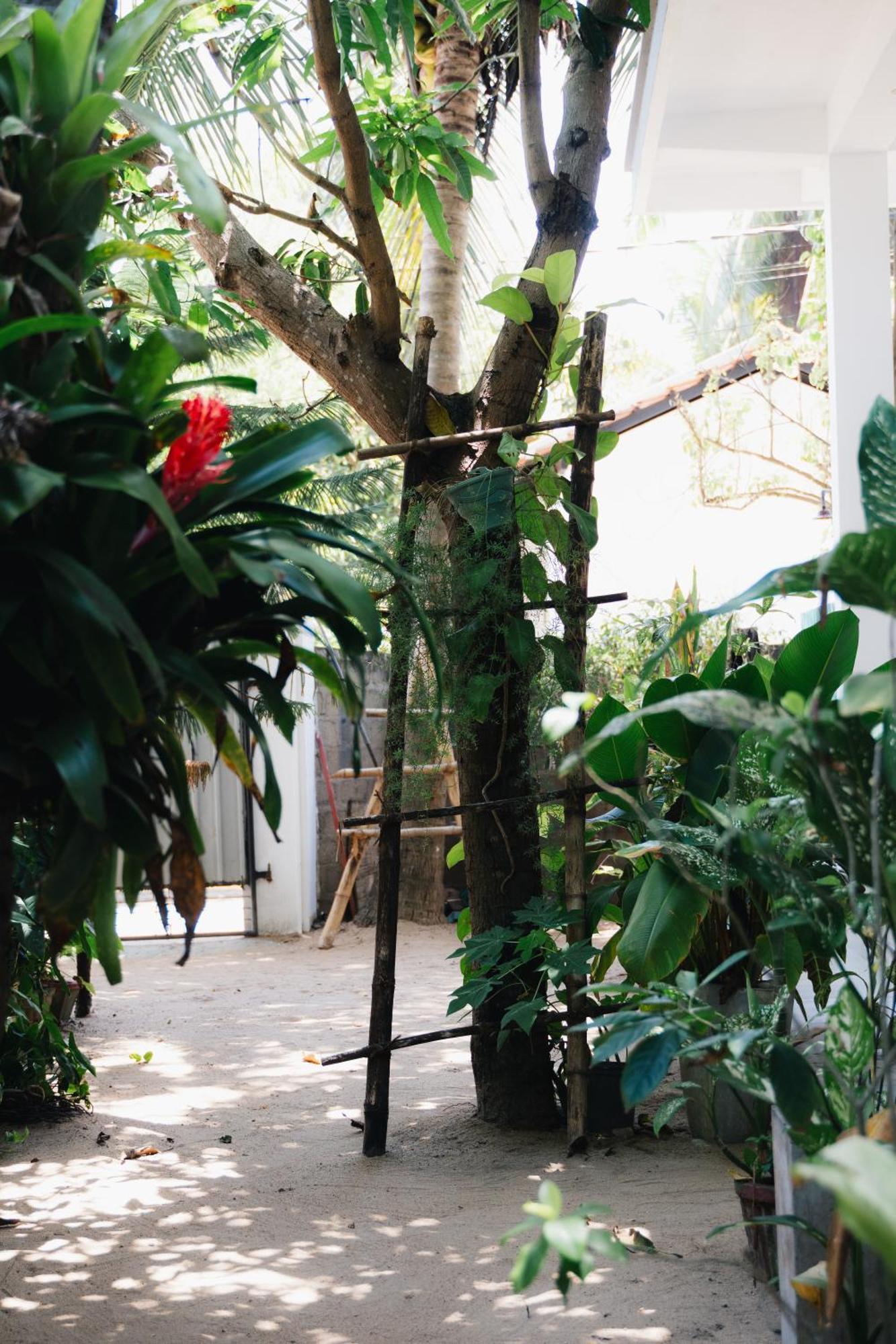 Tropicana Home Stay Baie d'Arugam Extérieur photo
